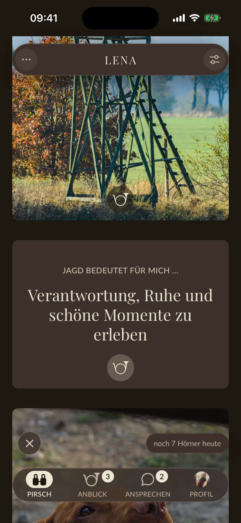 Das Fenster zum Horn, mit dem Feld für einen Kommentar