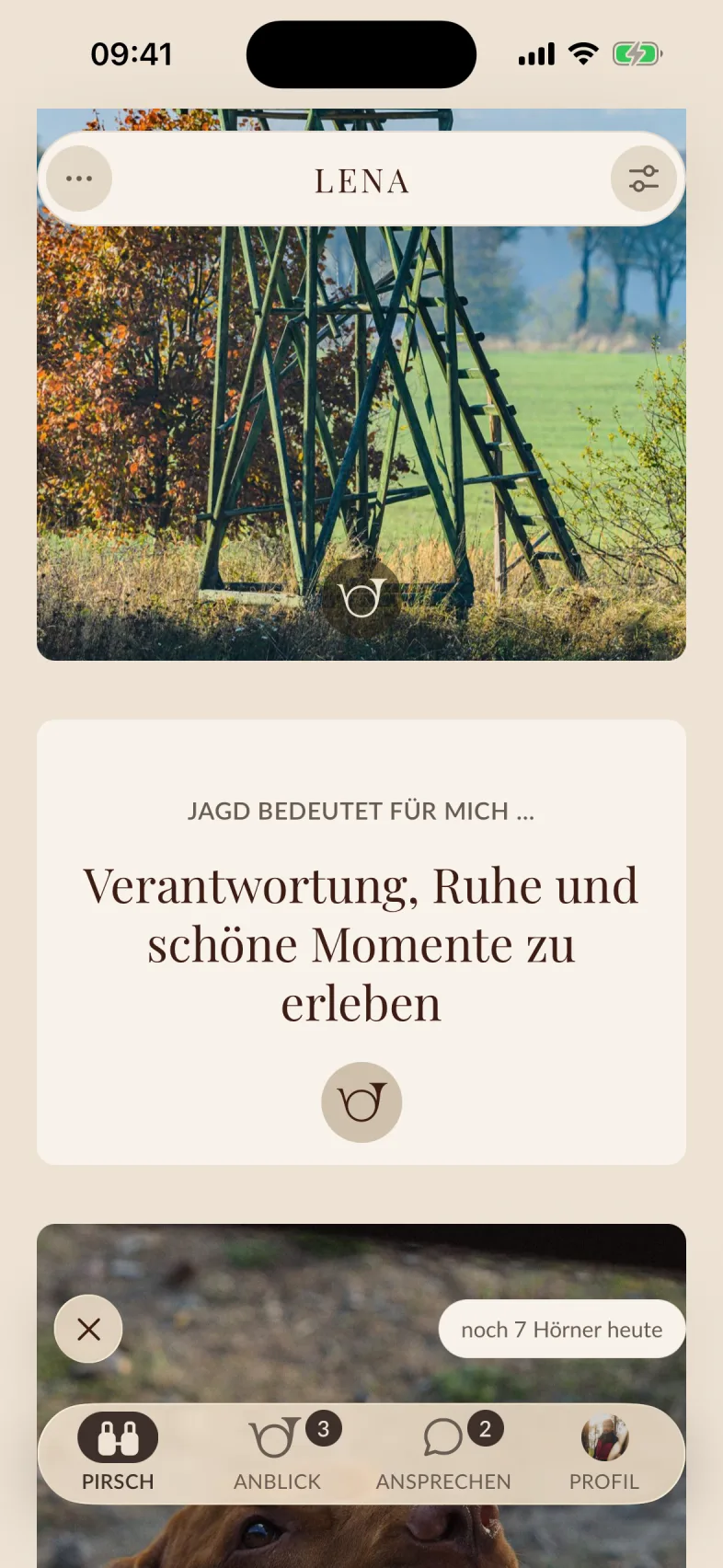 Das Fenster zum Horn, mit dem Feld für einen Kommentar